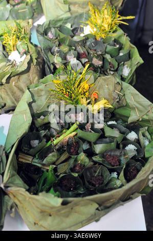 18. Juni 2008 - Chiang Mai, Thailand - Chiang Mai, Thailands zweitgrößte Stadt und ein wichtiger Tourismuszentrum, birgt ein dunkles Geheimnis, das eine Szene aus einem Horrorfilm sein könnte. Tief im Dschungelwald im Schatten des Doi Kham Tempels findet eine rituelle Zeremonie statt, inmitten von rasenden, staunenden und einigen schockierten Einheimischen und einer Handvoll Touristen, in einem Dunst von Insekten und Delirium. Ein Schuljunge verschlingt einen frisch geschlachteten Büffel, der unter ihm liegt wie ein blutiger Teppich. Scheiben von sehnlichem Fleisch, hängende Eingeweide und ein Eimer voller Blut sind die Spezialitäten des Tages. Der Wald stinkt nach verfallendem Fleisch und Stockfoto