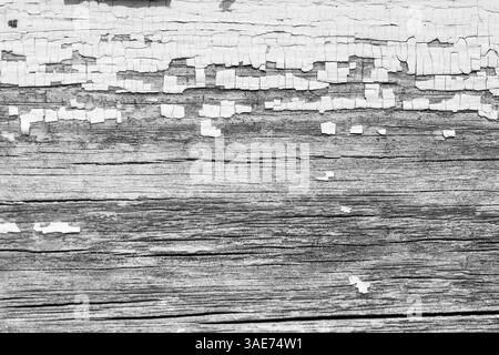 Hochwertiges Bild der Baumstruktur, perfekt für Retuschierung und digitale Manipulation. Bildbeispiele detaillierte Strukturen der Baumrinde. Stockfoto