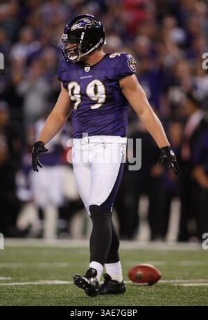 Baltimore Ravens OLB Paul Kruger (99). Baltimore Ravens besiegt die Houston Texans 29-14 am 16. Oktober 2011 im M&T Bank Stadium in Baltimore, MD. Foto: Mike Buscher/ Cal Sport Media(Credit Image: © Mike Buscher/Cal Sport Media/ZUMAPRESS.com) Stockfoto