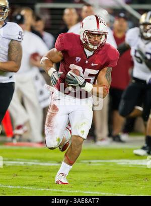 22. Oktober 2011: Stanford, der Tyler Gaffney (25) im NCAA Football-Spiel zwischen den Stanford Cardinal und den Washington Huskies im Stanford Stadium in Palo Alto, CA. Stanford besiegte Washington mit 65:21. â© Damon Tarver/Cal Sport Media(Kreditbild: © Damon Tarver/Cal Sport Media/ZUMAPRESS.com) Stockfoto