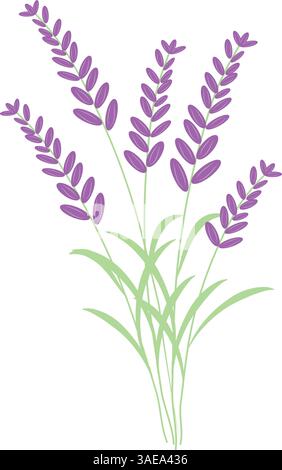 Hand gezeichneter Haufen Lavendelblumen, flache Vektorillustration isoliert auf weißem Hintergrund. Niedliche lila Cartoon Blumen. Aromatherapie und Spa-Konzept Stock Vektor