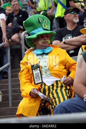 17. September 2011: Ein Fan der Oregon Duck „Ducked-out“ vor dem NCAA Football-Spiel zwischen den Oregon Ducks und Southern Missouri im Autzen Stadium, Eugene OR (Credit Image: © Larry C. Lawson/Cal Sport Media/ZUMAPRESS.com) Stockfoto