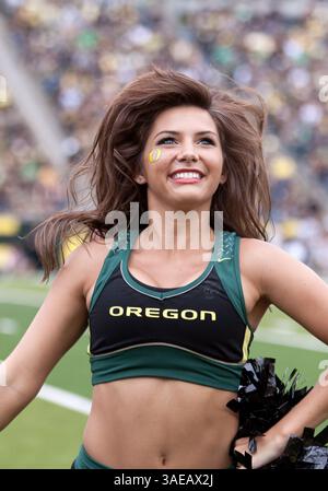 17. September 2011: Ein Cheerleader aus Oregon regt die Menge während des NCAA Football-Spiels zwischen den Oregon Ducks und Southern Missouri im Autzen Stadium, Eugene OR (Credit Image: © Larry C. Lawson/Cal Sport Media/ZUMAPRESS.com) an Stockfoto
