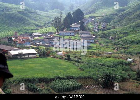 Juli 2003; Cameron Highlands, MALAYSIA; (Dateifoto) (Datum unbekannt) Blick auf das Boh Sungai Palas Teeplantage Dorf. . (Bild: Lou Jones/ZUMAPRESS.com) Stockfoto
