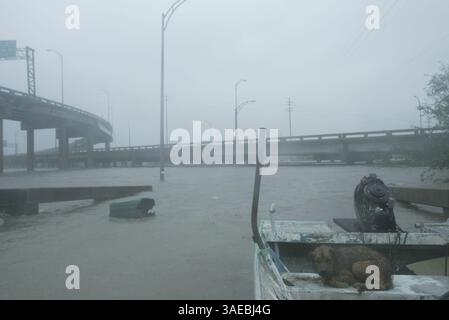 August 2005; New Orleans, LA, USA; ein Hund wartet am 29. August 2005 auf einem Boot an einer Ausfahrt der Interstate 610 im St. Bernard Parish of New Orleans, nachdem er aus seinem Haus auf dem Clermont Drive gerettet wurde. . (Bild: Edward Linsmier/ZUMAPRESS.com) Stockfoto