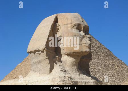 Nahaufnahme der Köpfe der Sphinx-Statue mit der Großen Pyramide im Hintergrund Stockfoto