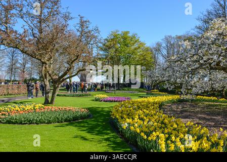 Lisse, Niederlande. April 2025. Tausende von Besuchern strömen, um die Tulpen und andere Blumengärten im Keukenhof in den Niederlanden zu sehen. Autor: Thomas Faull/Alamy Live News Stockfoto