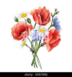 Blumenstrauß mit blühenden Wildblumen. Mohn, Zichorien, Gänseblümchen-Komposition. Florale Vintage Aquarellillustration isoliert auf weißem Hintergrund. Dekoration Stockfoto