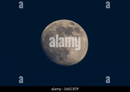 Vollmond am Nachthimmel. Stockfoto