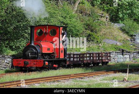 "Elidir" -Shunt an der Gilfach DDU. Stockfoto