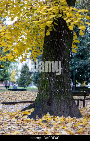 Baumstamm mit Feenlichtern umhüllt, umgeben von gefallenen gelben Blättern einer Linde in einem Park. Stockfoto