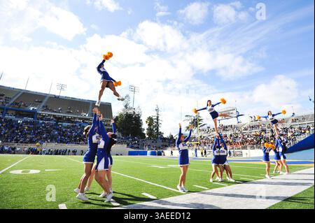 19. November 2011: San Jose, Kalifornien, USA - die Cheerleader aus San Jose Spartan treten am Samstag im Spartan Stadium auf. San Jose schlug Navy 27-24. (Bild: © Scott Beley/Southcreek/ZUMAPRESS.com) Stockfoto
