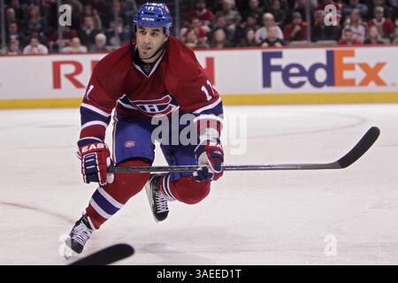 19. November 2011: Montreal, Québec, Kanada - Montreal Canadiens Stürmer Scott Gomez (11) in der ersten Phase des Spiels der Montreal Canadiens gegen die New-York Rangers im Bell Center. Nach einer Periode führt Montreal 1-0. (Bild: © Phillippe Champoux/Southcreek/ZUMAPRESS.com) Stockfoto