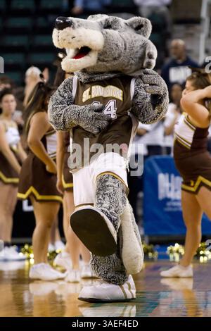 9. März 2012: St. Bonaventure Bonnies Maskottchen reiben sich den Bauch, während er sich benimmt, als wolle er den Saint Joseph's Hawk essen, während des Basketballspiels zwischen den Saint Joseph's Hawks und den St. Bonaventure Bonnies in der Boardwalk Hall in Atlantic City, New Jersey. The St. Bonaventure Bonnies Beat the Saint Joseph's Hawks, 71-68. (Bild: © Chris Szagola/Cal Sport Media/ZUMAPRESS.com) Stockfoto