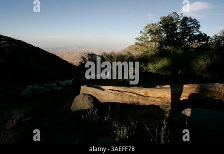 Juni 2008, Mt. Laguna, Kalifornien, USA. Vom Desert View Picknick-Bereich am Mt. Laguna, man kann in die Borrego-Wüste blicken. Der Autor und Historiker JIM NEWLAND schrieb ein Buch über die ersten 100 Jahre des Cleveland National Forest. Er verwendete über 200 historische Fotos von Land und Arbeitern im Gebiet der Cuyamacas und des Mt. Laguna, um das Buch zu illustrieren. Foto (Foto: San Diego Union-Tribune/ZUMAPRESS.com) Stockfoto