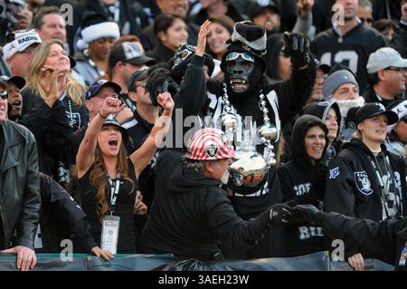 Am 18. Dezember 2011 feierten die Fans der Oakland Raiders im Black Hole einen Touchdown in der zweiten Hälfte des NFL-Spiels zwischen den Oakland Raiders und den Detroit Lions im O.Co Coliseum in Oakland, CA. Die Detroit Lions schlugen die Oakland Raiders 28:27. David Hood/Cal Sport Media (Bild: © David Hood/Cal Sport Media/ZUMAPRESS.com) Stockfoto