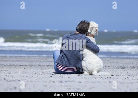 Frau sitzt zusammen mit ihrem Hund, einem weißen Pudel, am Strand in der Sonne, umarmt ihn und blickt auf das Meer, Groede, Zeeland, Niederlande Stockfoto