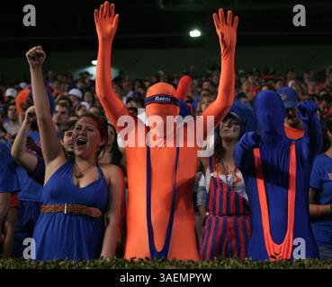 9. September 2011 - Gainesville, FL, USA - Florida Fans jubeln beim Sieg der Gators 39-0 über die University of Alabama-Birmingham im Ben Hill Griffin Stadium in Gainesville, Florida, am Samstag, den 10. September 2011. (Bild: © Gary W. Green/Orlando Sentinel/MCT/ZUMAPRESS.com) Stockfoto
