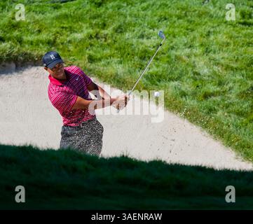 9. Oktober 2011: PGA-Golfer Tiger Woods trifft in der Finalrunde der Fry's.com Open im CordeValle Golfclub in San Martin, CA. â Damon Tarver/Cal Sport Media(Credit Image: © Damon Tarver/Cal Sport Media/ZUMAPRESS.com) Stockfoto