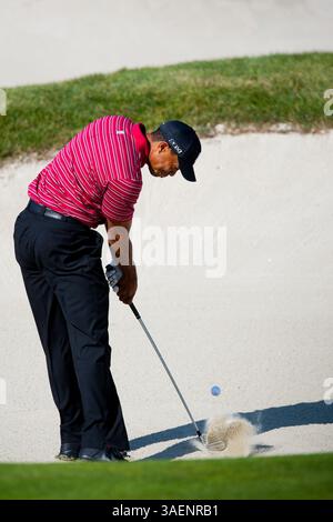 9. Oktober 2011: PGA-Golfer Tiger Woods trifft in der Finalrunde der Fry's.com Open im CordeValle Golfclub in San Martin, CA. â Damon Tarver/Cal Sport Media(Credit Image: © Damon Tarver/Cal Sport Media/ZUMAPRESS.com) Stockfoto