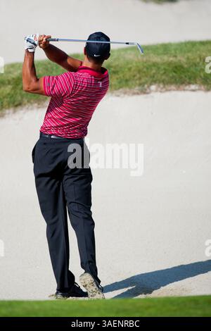 9. Oktober 2011: PGA-Golfer Tiger Woods trifft in der Finalrunde der Fry's.com Open im CordeValle Golfclub in San Martin, CA. â Damon Tarver/Cal Sport Media(Credit Image: © Damon Tarver/Cal Sport Media/ZUMAPRESS.com) Stockfoto