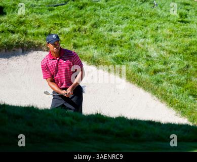 9. Oktober 2011: PGA-Golfer Tiger Woods trifft in der Finalrunde der Fry's.com Open im CordeValle Golfclub in San Martin, CA. â Damon Tarver/Cal Sport Media(Credit Image: © Damon Tarver/Cal Sport Media/ZUMAPRESS.com) Stockfoto
