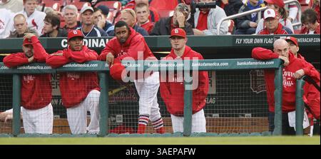 22. September 2011 - St. Louis, MO, USA - Spieler und Mitarbeiter der St. Louis Cardinals beobachten das Finale am Ende des neunten Inning aus dem Dugout während des Spiels gegen die New York Mets. Die Mets besiegten die Cardinals im Busch Stadium in St. Louis, Missouri am Donnerstag, den 22. September 2011. (Kreditbild: © Chris Lee/St. Louis Post-Dispatch/MCT/ZUMAPRESS.com) Stockfoto