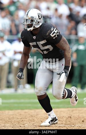 25. September 2011: Der Linebacker Rolando McClain (55) der Oakland Raiders tritt während des NFL-Fußballspiels zwischen den Oakland Raiders und den New York Jets im O.Co Coliseum in Oakland, Kalifornien, an. Die Oakland Raiders besiegten die New York Jets 34 zu 24. (Bild: © Christopher Trim/Cal Sport Media/ZUMAPRESS.com) Stockfoto