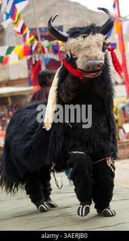 September 2011 - Ladakh, Indien - Ein lebendiger und fröhlicher Tanz der jungen Nomaden aus der Wüste Changthang beim Ladakh Festival. Diese Nomaden sind Hirten der Paschmina-Wolle und leben in sparsamen Zelten und leben in den Wüstenplateaus des Himalaya, die sich von Ladakh bis nach Tibet erstrecken. (Bild: © Jaina Mishra/ZUMAPRESS.com) Stockfoto