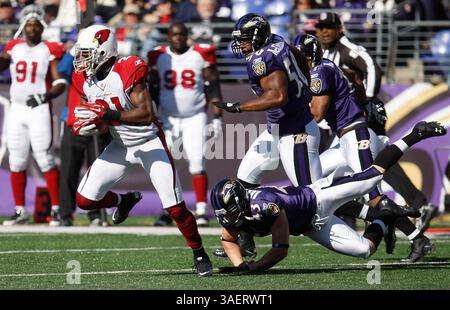 Der Arizona Cardinals CB Patrick Peterson (21) gibt im zweiten Quartal einen Punt für einen Touchdown zurück. Baltimore Ravens vs Arizona Cardinals am 30. Oktober 2011 im M&T Bank Stadium in Baltimore, MD. Foto: Mike Buscher/ Cal Sport Media(Credit Image: © Mike Buscher/Cal Sport Media/ZUMAPRESS.com) Stockfoto