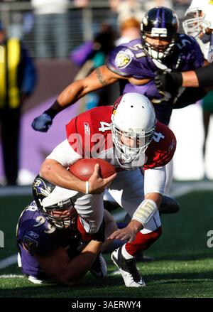 Kevin Kolb (4) wird von Baltimore Ravens OLB Paul Kruger (99) geplündert. Baltimore Ravens vs Arizona Cardinals am 30. Oktober 2011 im M&T Bank Stadium in Baltimore, MD. Foto: Mike Buscher/ Cal Sport Media(Credit Image: © Mike Buscher/Cal Sport Media/ZUMAPRESS.com) Stockfoto