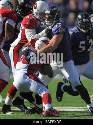 Oktober 30, 2011 - Baltimore, MD, USA - Baltimore Ravens vor Linebacker Jarret Johnson Suppes Arizona Cardinals, die LaRod Stephens-Howling in der zweiten Spielhälfte am Sonntag, den 30. Oktober 2011, in Baltimore, Maryland, zurücklaufen. Die Raben kommen zurück, um eine 30-27 über die Arizona Cardinals zu nehmen. (Kreditbild: © Doug Kapustin/MCT/MCT/ZUMAPRESS.com) Stockfoto