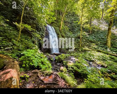 Wasserfall in der Schlucht Oirase Keiryu in Aomori, Japan. Hochwertige Fotos Stockfoto