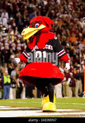 November 2011 - Columbia, South Carolina, USA S - South Carolina Maskottchen in Aktion während des Fußballspiels South Carolina vs. Clemson. Die Gamecocks besiegen die Tiger 34 - 13. (Bild: © Tony Brown/Southcreek/ZUMAPRESS.com) Stockfoto