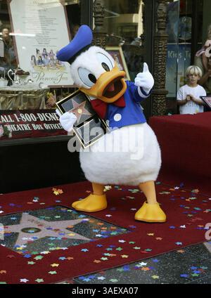 August 2004; Hollywood, CA, USA; DONALD DUCK während einer Hollywood Walk of Fame Zeremonie in Los Angeles, Kalifornien. Donald Duck, der in diesem Jahr seinen 70. Geburtstag feiert, wurde mit dem 2, 257. Stern auf dem berühmten Hollywood Walkway geehrt. (Bild: Armando Arorizo/ZUMAPRESS.com) Stockfoto