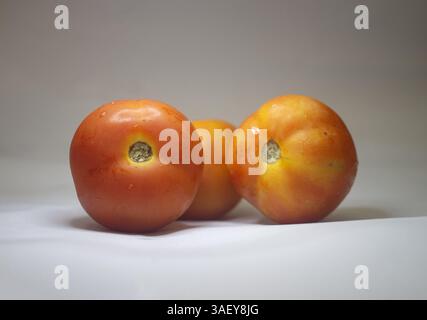 Knallrote Tomaten mit glänzender Haut, strahlender Frische und einem reichhaltigen, natürlichen Geschmack für jedes Gericht Stockfoto