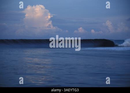Mai 2003; Tavarua, Fidschi; an einem dunkelblauen Tag auf der Insel Tavarua kommt Eine perfekte rechte Hand. Stockfoto