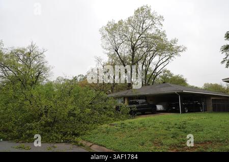 Little Rock, USA. April 2025. Ein Baum, der von starken Winden gestürzt wurde, blockiert eine Garage in Little Rock, Arkansas, USA, am 6. April 2025. Heftige Stürme haben seit vier Tagen weite Teile des Mittleren Westens und Südens der USA heimgesucht und Hunderte von Tornados, schweren Regenfällen und historischen Überschwemmungen ausgelöst, die seit Samstagabend mindestens 16 Menschenleben gefordert hatten. Quelle: Yan Sun/Xinhua/Alamy Live News Stockfoto