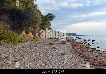 19.08.2020 Insel Poel Deutschland/Mecklenburg Vorpommern/23999 Insel Poel/am Schwarzen Busch/an der Steilküste/Gegenlicht *** 19 08 2020 Insel Poel Deutschland Mecklenburg Vorpommern 23999 Insel Poel am Schwarzen Busch an der Steilküste Hinterlicht Stockfoto