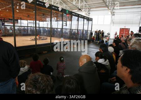 November 2005; San Francisco, CA, USA; die Robot Fighting League (RFL) veranstaltete ein Kampfroboter-Event im Fort Mason in San Francisco. Die funkgesteuerten Roboter, alle fähig, Menschen tödlich zu verletzen, kämpften in einer Arena aus Stahlträgern, doppeltem kugelsicherem Glas und kaltgewalztem Stahlboden. Die Roboter, jeder einzelne einzigartig, kämpften in verschiedenen Gewichtsklassen, die größten wiegten mehr als 340 kg. Selbst diese Maschinen würden von einem Konkurrenten in die Arena geworfen. Obligatorischer Hinweis: Foto von Mike Fox/ZUMA Press. (©) Copyright 2005 von Mike Fox Stockfoto