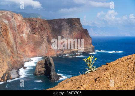 Atemberaubende Aussicht auf die Küstenregion auf Madeira Stockfoto