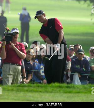 Januar 2005; San Diego, CA, USA; Golfspieler TIGER WOODS schlägt seinen Ball aus dem Rough beim Buick Invitational auf dem Torrey Pines Course in San Diego. Woods gewann mit 16 unter-Par und schoss in der letzten Runde vier unter-Par. Stockfoto