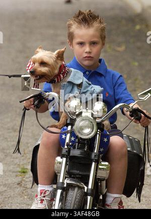 April 2005; San Antonio, TX, USA; WILL JOYNER, 5 Jahre alt, und seine Yorkie Belle fahren während der jährlichen Fiesta Pooch Parade am Samstag, 23. April 2005, die Parade entlang. Obligatorischer Credit: Foto von Helen Montoya/San Antonio Express-News/ZUMA Press. (©) Copyright 2005 von Helen Montoya/San Antonio Express-News Stockfoto