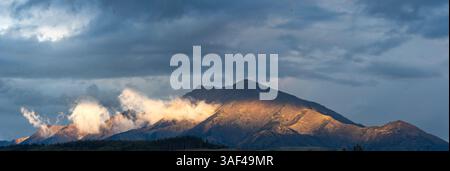 Aufnahmen des Wanaka-Baumes bei Sonnenuntergang in Neuseeland Stockfoto