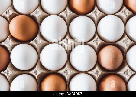 Obenliegendes Foto von braunen und weißen Eiern in einem Karton Stockfoto