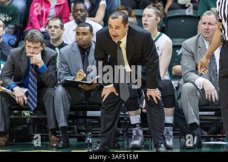 2. März 2015: Tampa FL, USA, USF-Cheftrainer Jose Fernandez gibt seinem Team die Leitung im Spiel zwischen UCONN und USF im USF Sun Dome in Tampa FL. (Bild: © Del Mecum/Cal Sport Media/ZUMAPRESS.com) Stockfoto