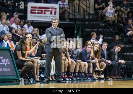 2. März 2015: Tampa FL, USA - UCONNs Cheftrainer Geno Auriemma beobachtet sein Team während des Spiels zwischen UCONN und USF im USF Sun Dome in Tampa FL. (Bild: © Del Mecum/Cal Sport Media/ZUMAPRESS.com) Stockfoto