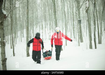 13. Februar 2015 - Collingwood, Ontario, Kanada - 12. Februar 2015 - Collingwood, Ontario - Skipatrouillen entfernen ein Opfer während eines ersten-Hilfe-Übungsszenarios auf dem Berg in den Lichtungen am Gipfel des Berges. Blue Mountain ist eines der größten Skigebiete im Osten Kanadas und hat so viele, wenn nicht mehr Skifahrer und Boarder pro Jahr als viele andere Skigebiete im Westen der Rocky Mountains. Aus diesem Grund sind die Ski Patrol Teams Vollzeitpersonal und gehören zu den am besten ausgebildeten im Land. (Bild: © James Macdonald/ZUMA Wire) Stockfoto