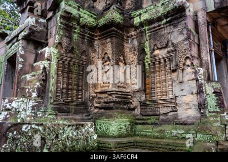 Grüne moosbedeckte Ziegel- und Steinschnitzereien an einer Gebäudewand im Tempelkomplex Ta Prohm Tomb Raider. Angkor Wat historische Stätte Stockfoto