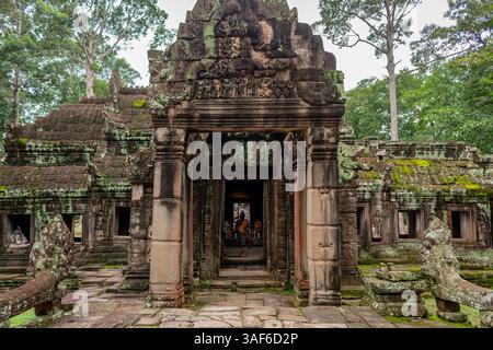 Mit grünem Moos bewachsenes Steingebäude im grünen Wald des Tempelkomplexes Ta Prohm Tomb Raider. Angkor Wat historische Stätte, Siem Reap, Kambodscha Stockfoto